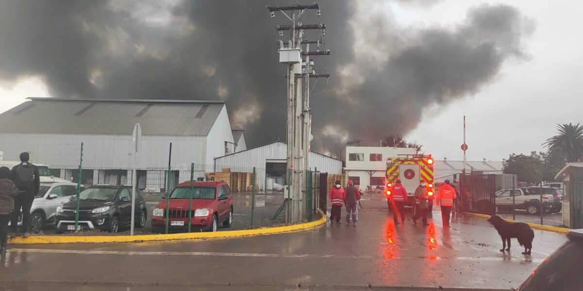 Gigantesco incendio consume bodegas de empresa agrícola en El Monte: Bomberos trabaja en evitar propagación