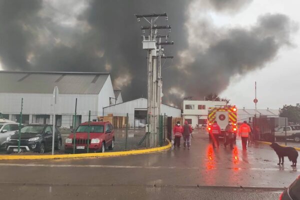 Gigantesco incendio consume bodegas de empresa agrícola en El Monte: Bomberos trabaja en evitar propagación