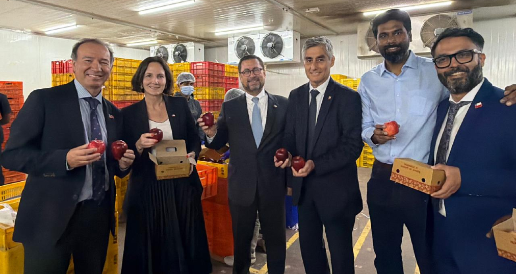Gira del Gobierno en India abre nueva oportunidad para exportadores chilenos: NinjaCart aumentará compras de productos frescos