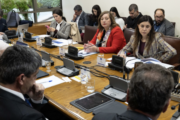 Megaproyecto del Gobierno supera primera medición de fuerzas en el Senado e inicia debate en Hacienda