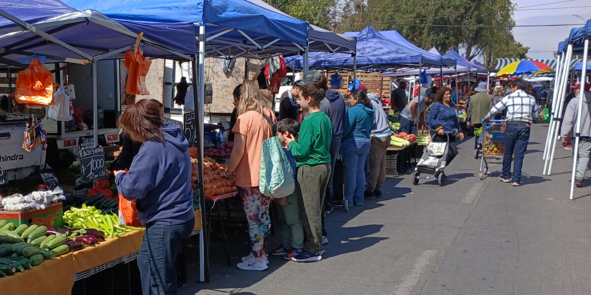 SII extiende plazo para que municipios exijan inicio de actividades a feriantes