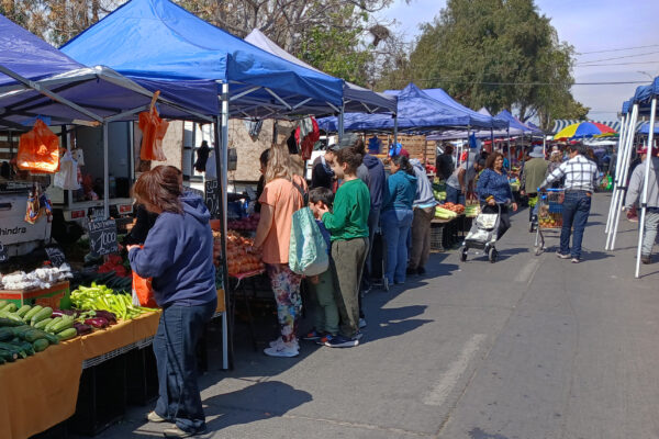 SII extiende plazo para que municipios exijan inicio de actividades a feriantes