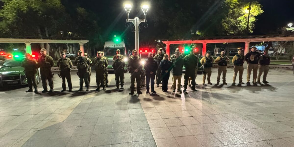 Ronda semanal en Talagante dejó tres detenidos y más de 290 controles