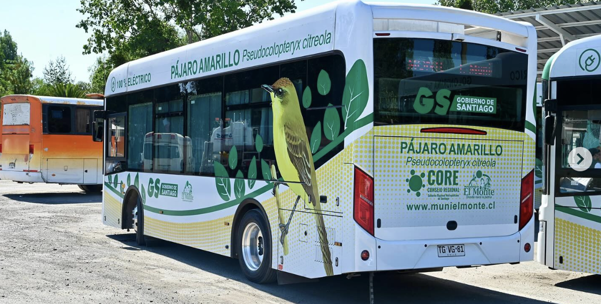 Corte rechaza recurso que buscaba suspender los buses municipales gratuitos de El Monte