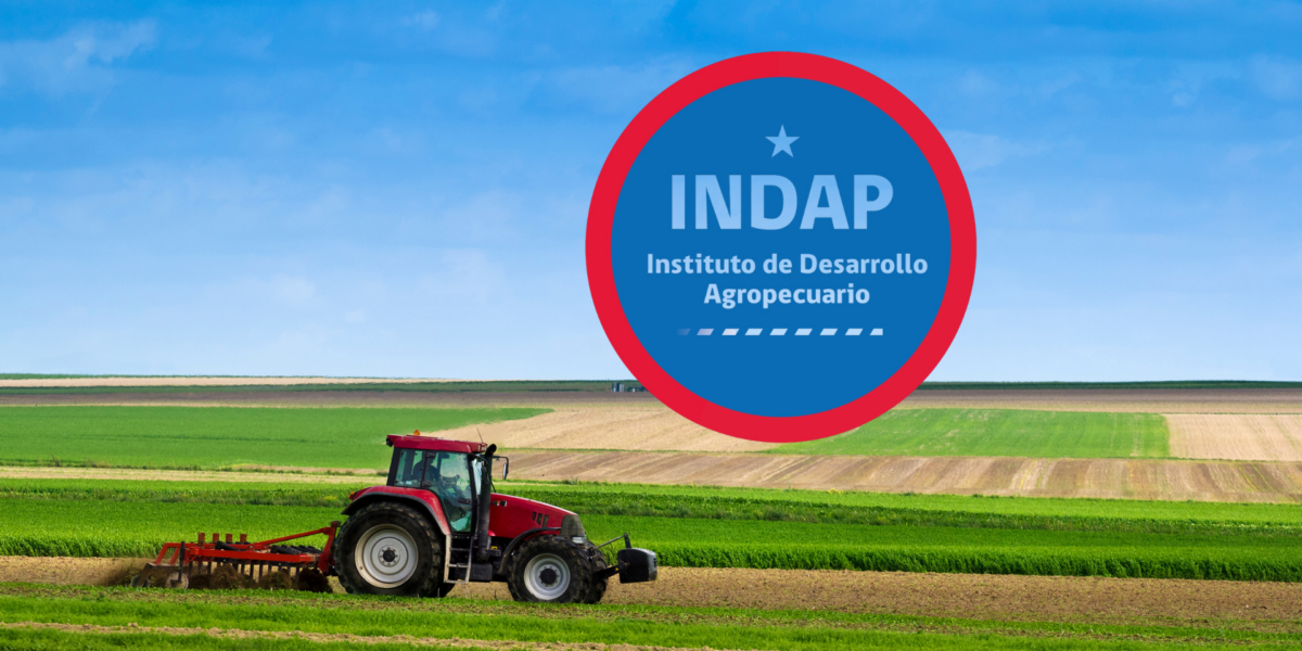 Gobierno inicia cierre gradual del Programa Mujeres Rurales e INDAP asegura continuidad de apoyos