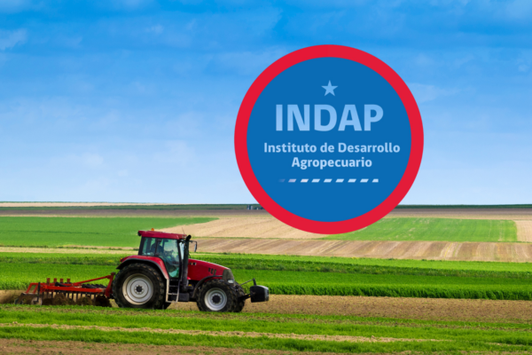 Gobierno inicia cierre gradual del Programa Mujeres Rurales e INDAP asegura continuidad de apoyos