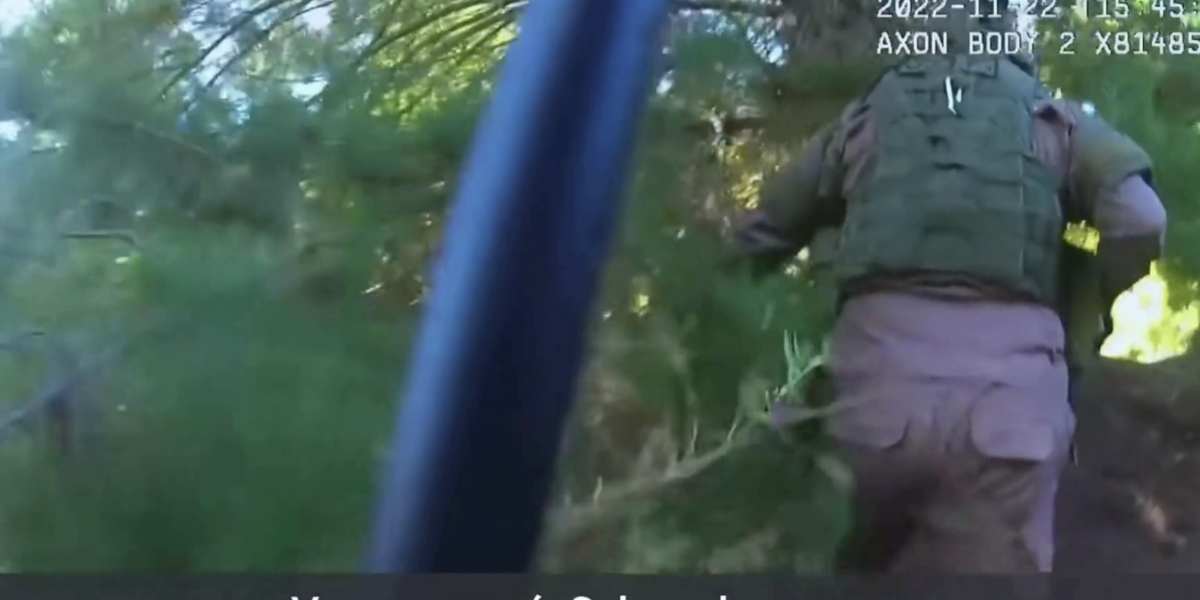 Revelan imágenes inéditas del operativo que terminó con la detención de Pelentaro Llaitul y otros cuatro miembros de la CAM