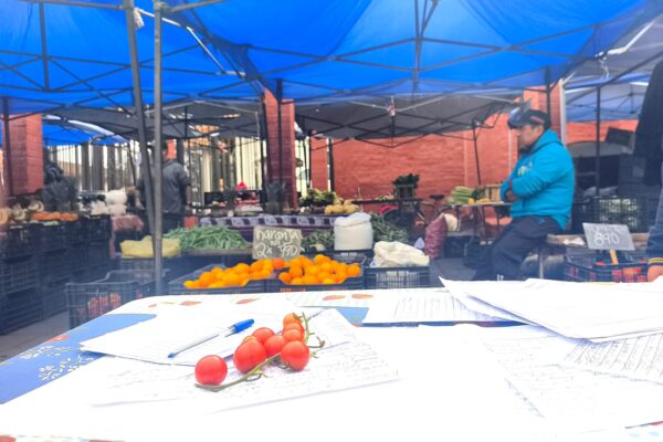 Vecinos reúnen más de 900 firmas para respaldar continuidad de Feria Villa Los Álamos
