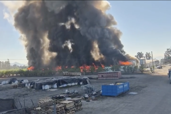 Incendio consume pabellón de Agrícola Los Tilos en Talagante: Bomberos de El Monte acudió en apoyo