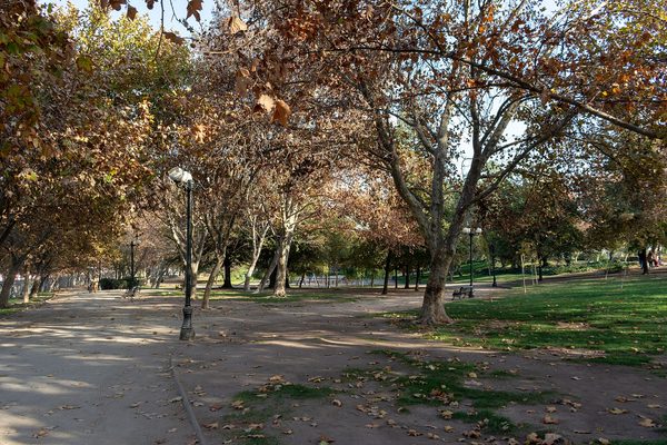 Comisión de la Cámara abre la puerta a multas y cárcel por “rucos”: qué establece la propuesta y a quiénes podría aplicarse